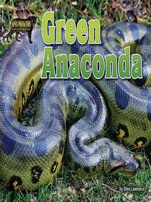 cover image of Green Anaconda